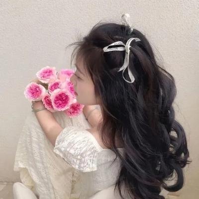V怪客